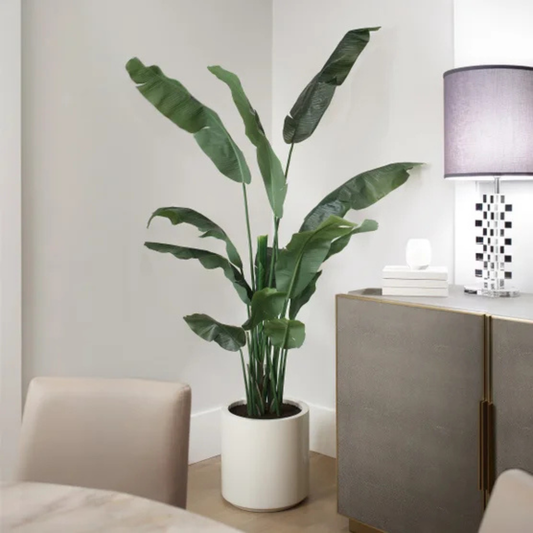 CGH - Bananier Artificiel de 1,9 m *Boite Ouverte*-faux-banana-leaf-tree-costco-6.5-ft-1570010-2