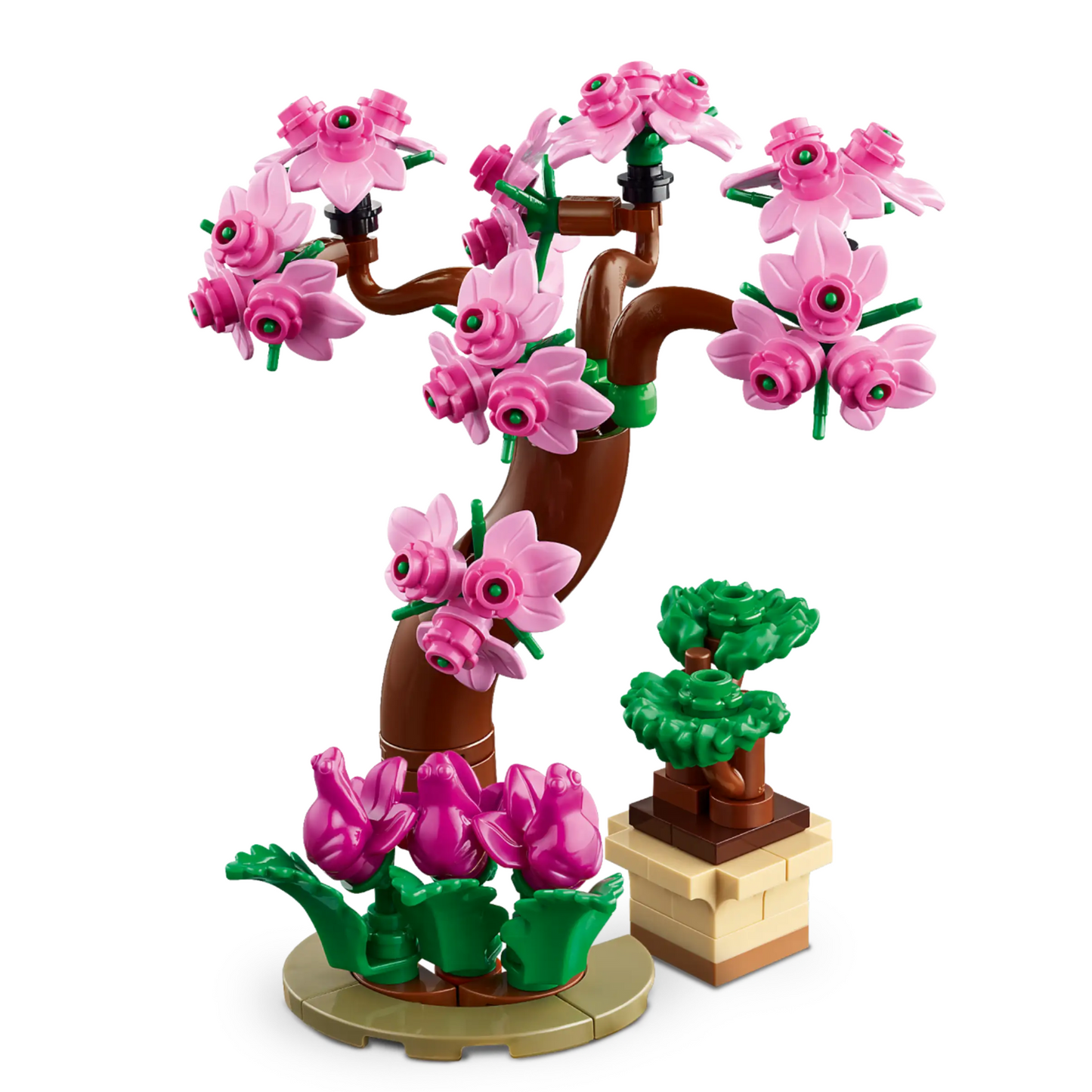 LEGO - Le Jardin Botanique Friends 41757-botanical-garden-5