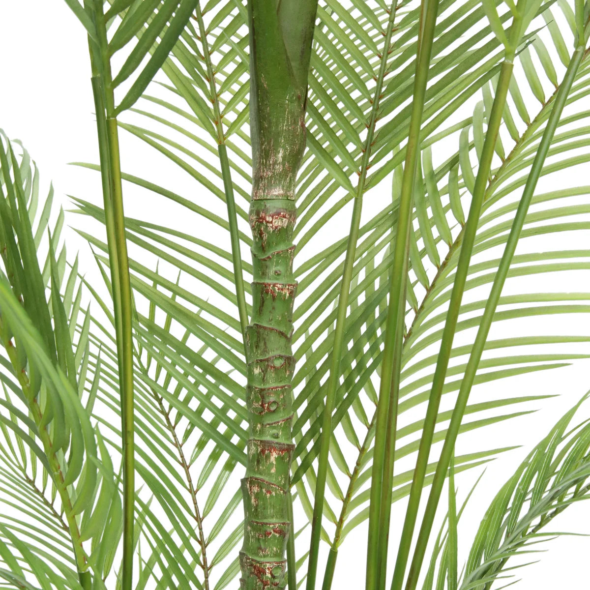 CGH - Palmier Artificiel de 6,5 pi-lifelike-palm-tree-faux-costco-1752946-3