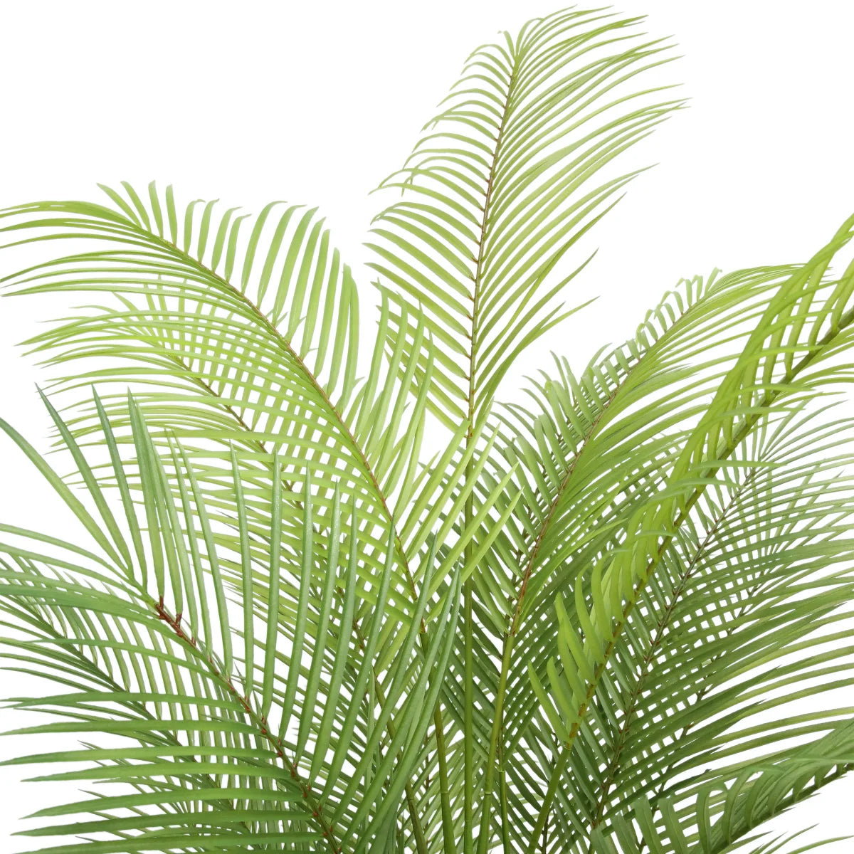 CGH - Palmier Artificiel de 6,5 pi-lifelike-palm-tree-faux-costco-1752946-2