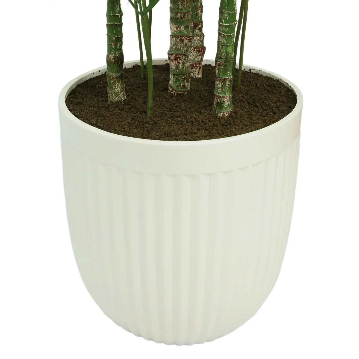 CGH - Palmier Artificiel de 6,5 pi-lifelike-palm-tree-faux-costco-1752946-4