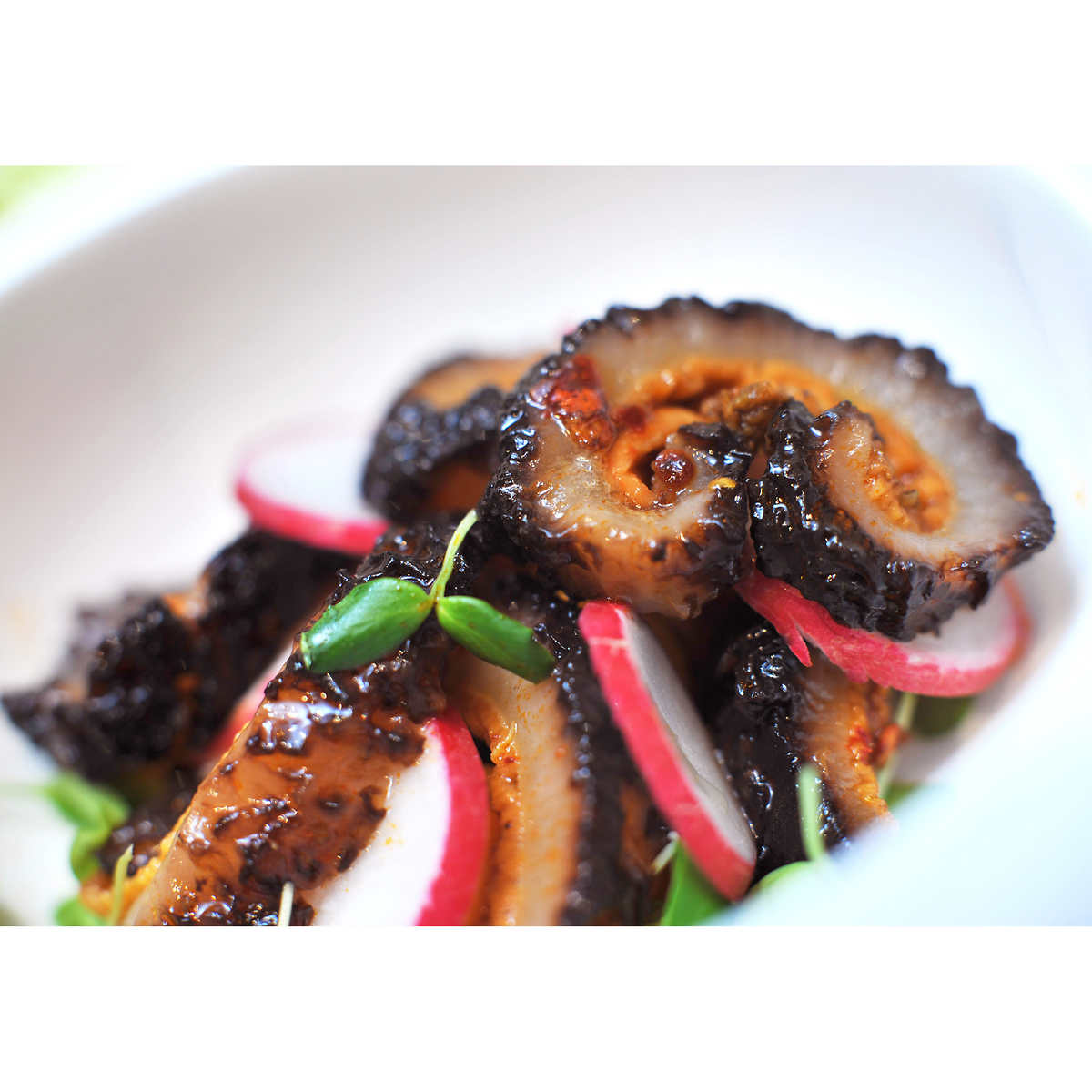 rosalyn-cocombre-mer-séché-entier-dried-sea-cucumber-4