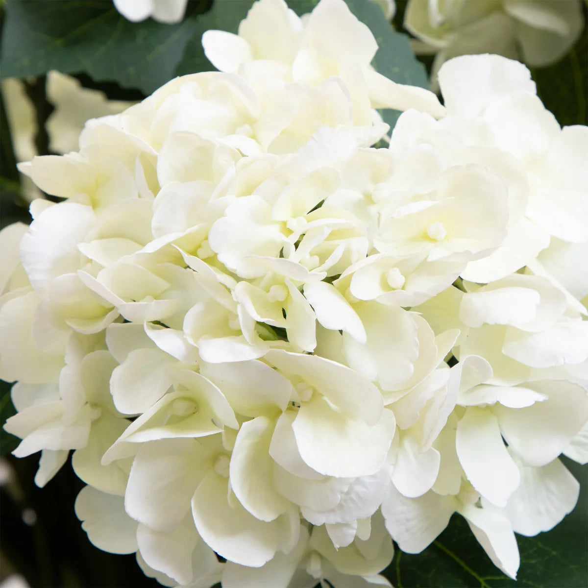 NEARLY NATURAL - Plante Hortensia Artificielle-real-touch-hydrangea-floor-plant-costco-1861821-4