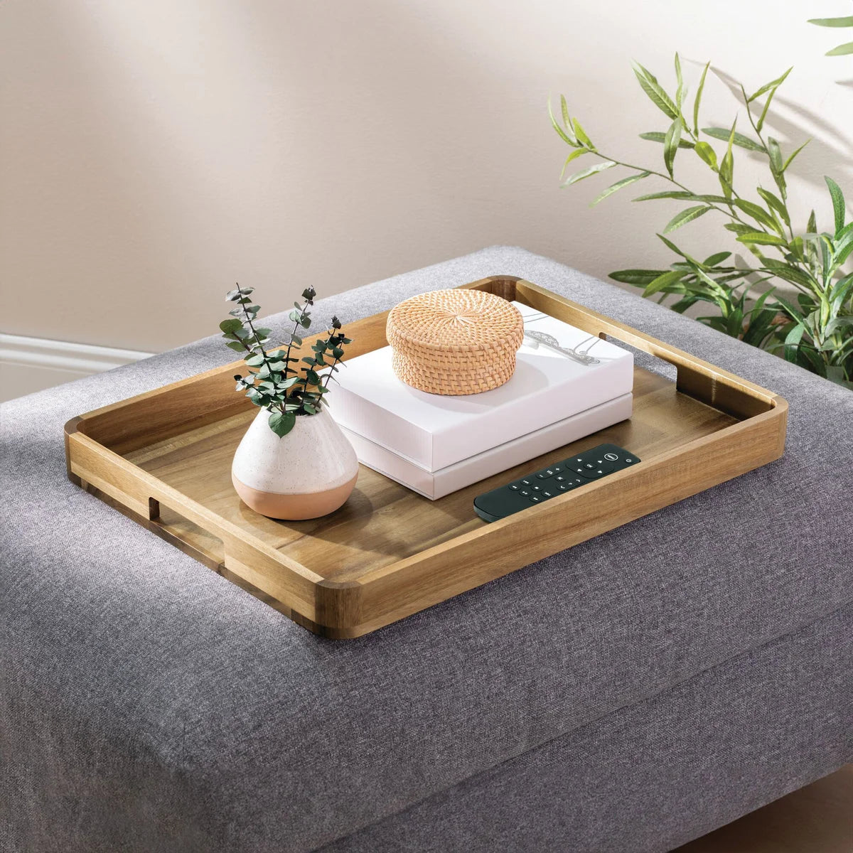 IDESIGN - Plateau de Service-serving-tray-1759372-3