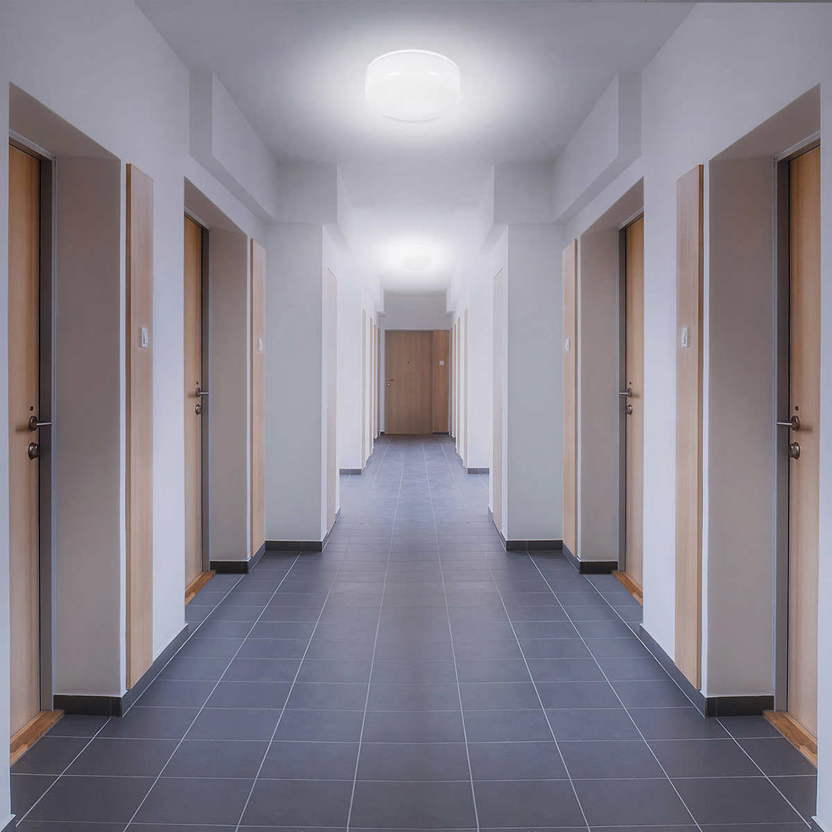 luminus-led-paquet-2-ampoules-plafonnier-8-po-inches-pack-flush-mount-light-bulb-6