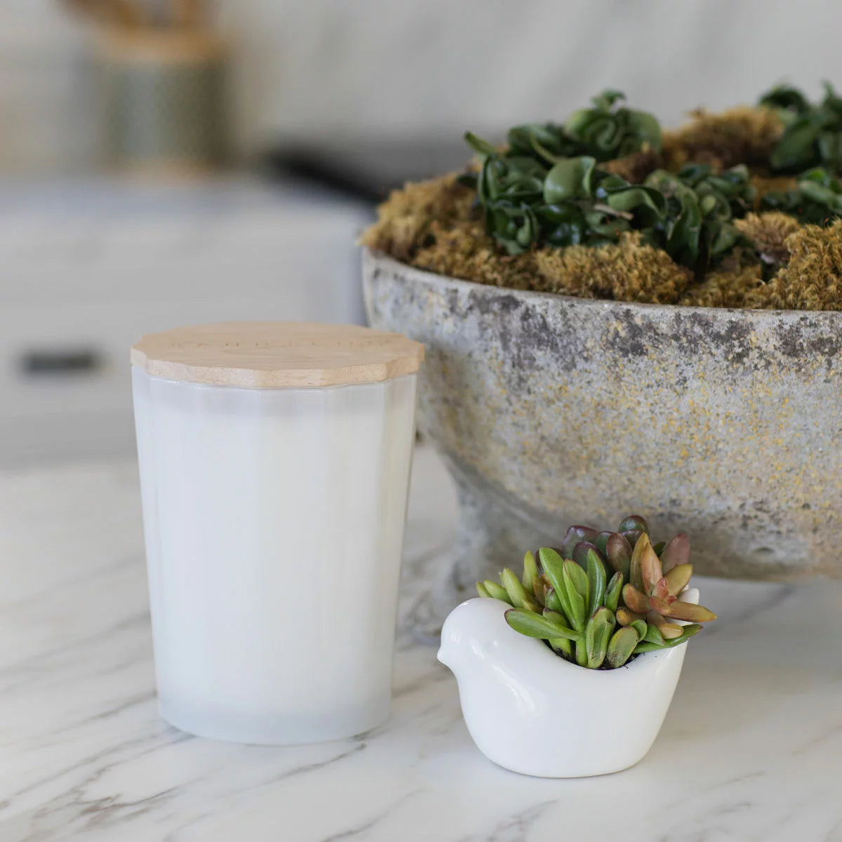 SAND + FOG - Bougie Parfumée en Mélange de Cire de Soja-scentend-soy-wax-blend-candle-costco-1901731-blanc-white-brume-océanique-ocean-mist-6