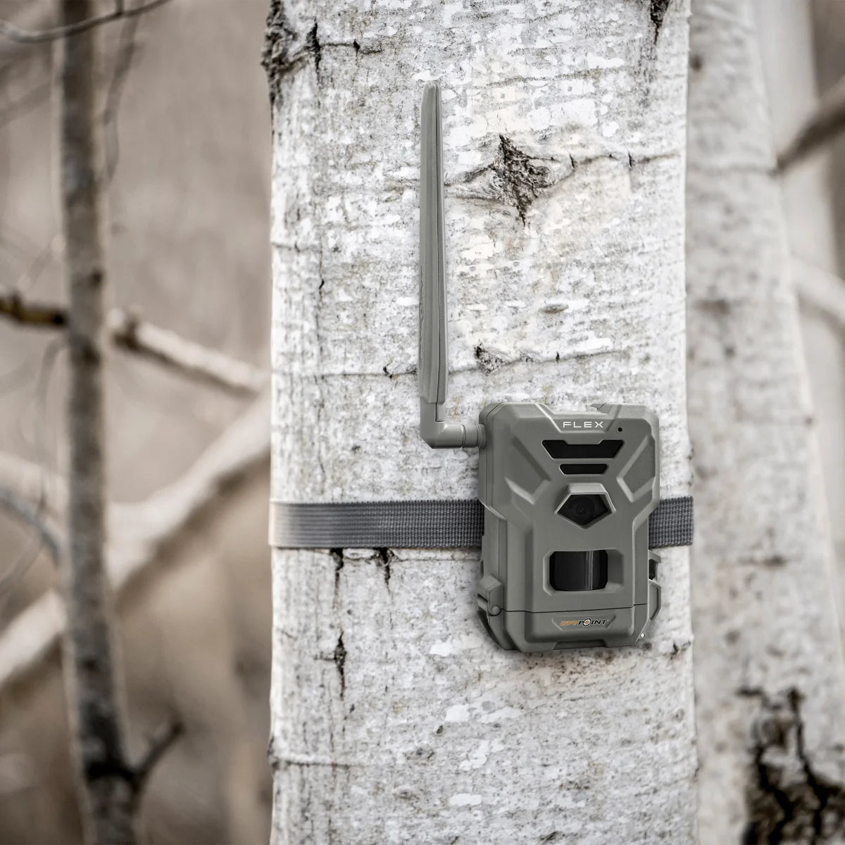 spypoint-caméra-de-chasse-ensemble-élite-flex-g-36-elite-bundle-flex-trail-camera-costco-1885796-6