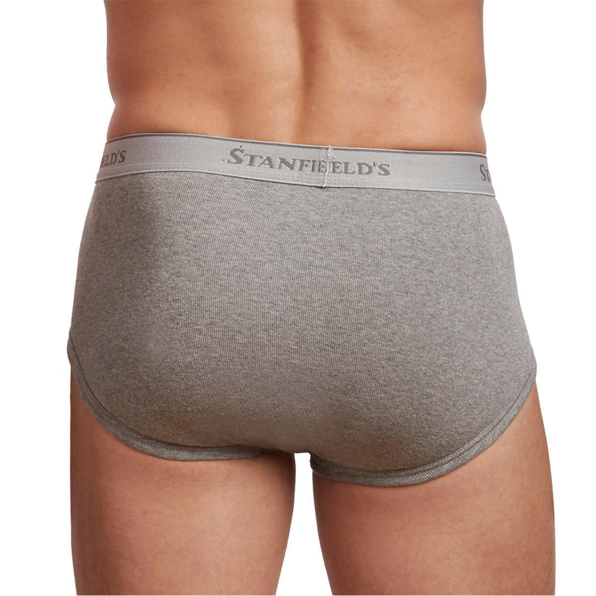 stanfield's-paquet-6-caleçons-classiques-classic-briefs-pack-6