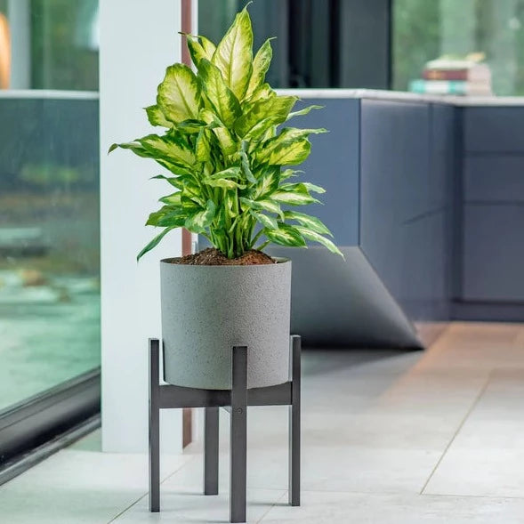 VAXA-JARDINIÈRES-AUTO-ARROSANTES-PIEDS-BAMBOU-3