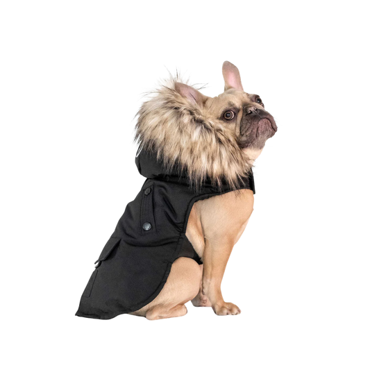 NOIZE - Parka pour Chien-dog-costco-1819594