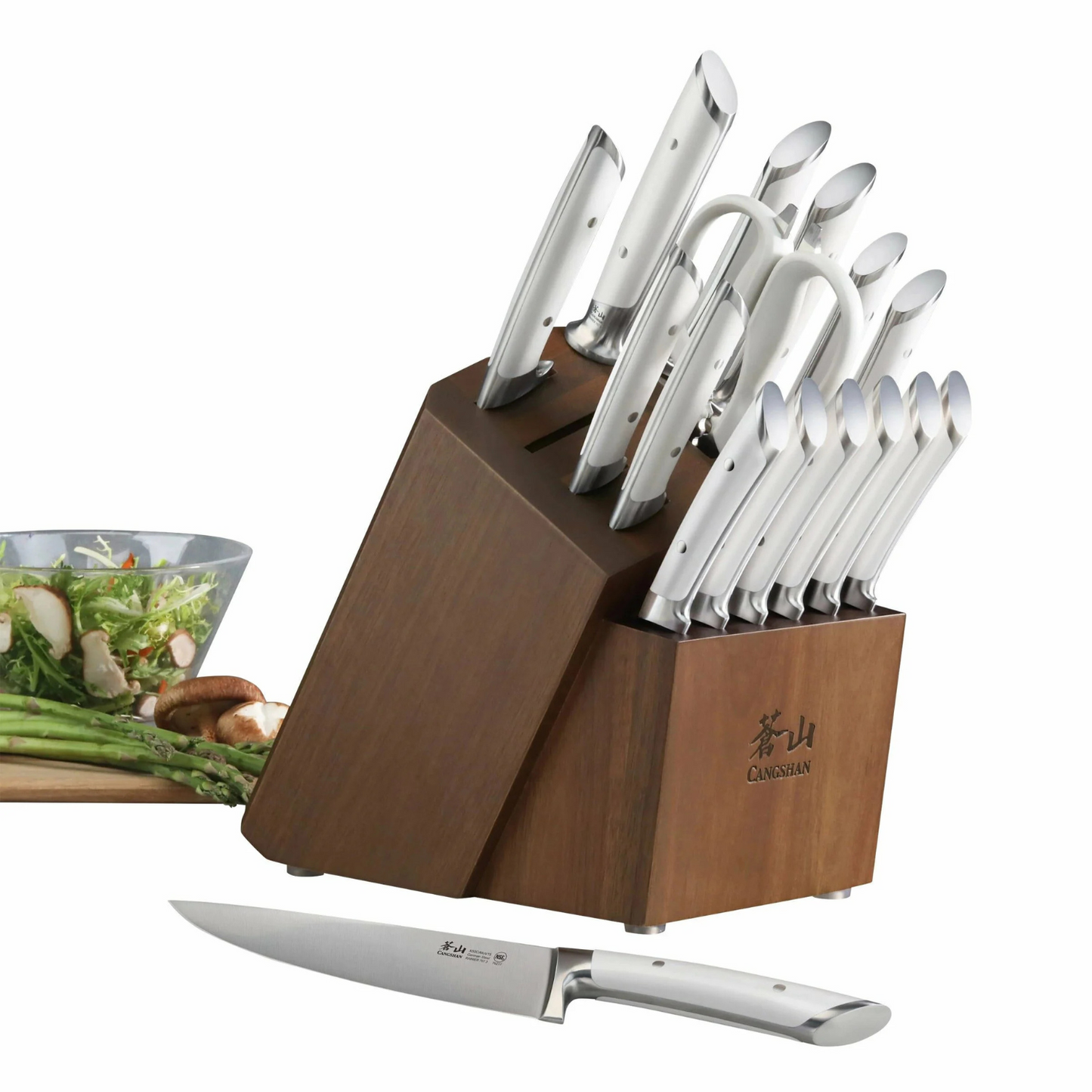 CANGSHAN - Ensemble de Couteaux avec Bloc de Rangement Série Rainier, 17 Pièces
