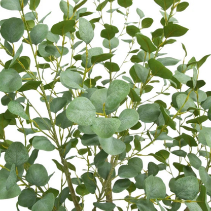 CGH - Eucalyptus Artificiel de 1,9 m *Boite Ouverte*-lifelike-faux-tree-6.6 ft- costco-1695603-4
