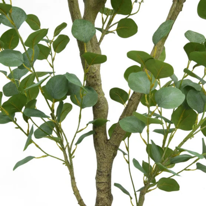 CGH - Eucalyptus Artificiel de 1,9 m *Boite Ouverte*-lifelike-faux-tree-6.6 ft- costco-1695603-5