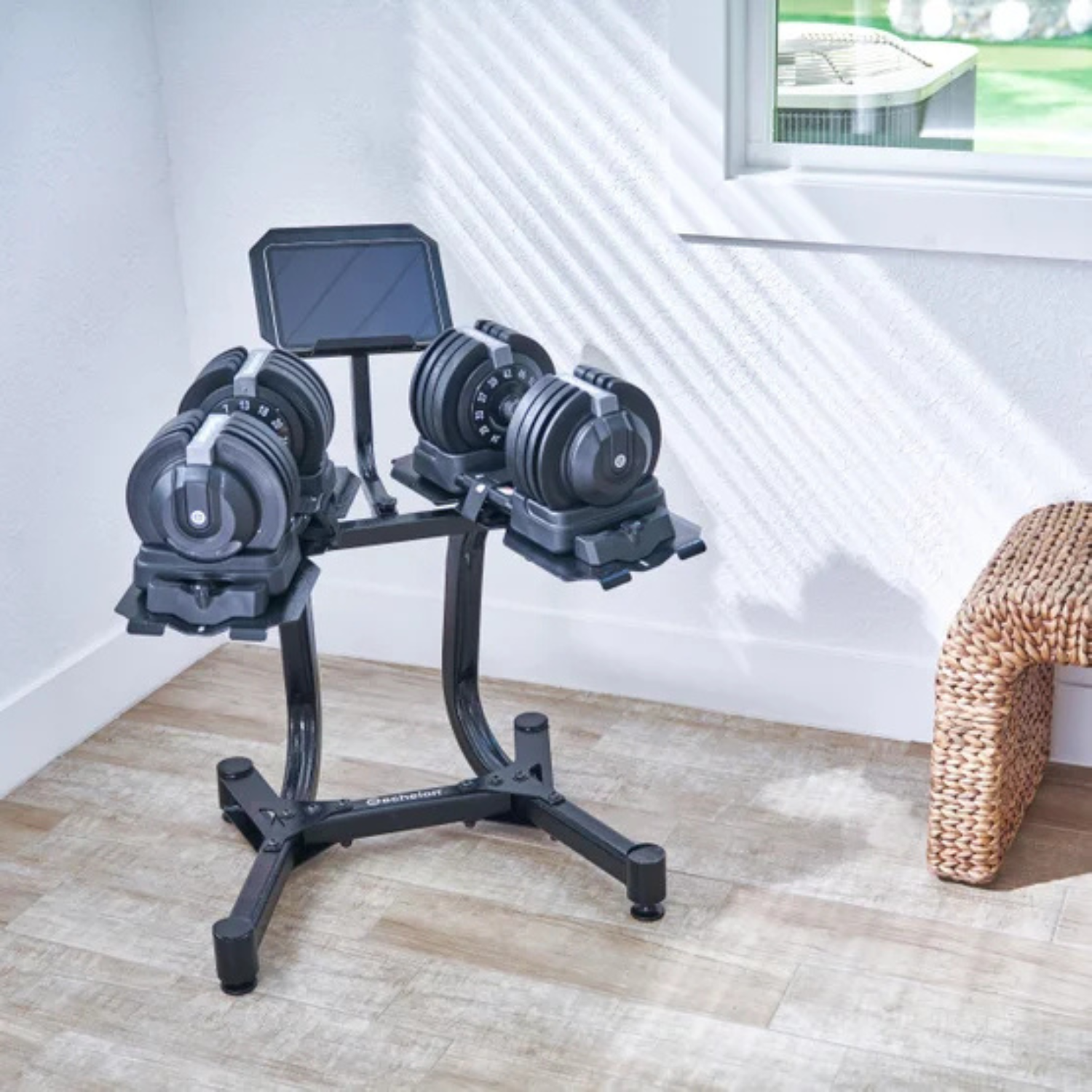 ECHELON - Ensemble d'Haltères Réglables avec Support *Tel Quel*-adjustable-dumbells-set-costco-stand-1999752-7