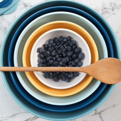 Pandex - Ensemble de bols en mélamine avec couvercles, 5-pièces | 5-Piece Melamine Bowl Set with Lids