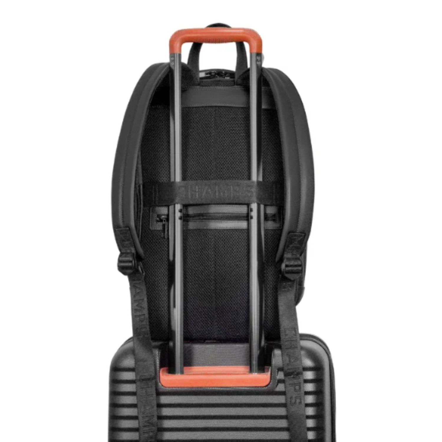 CHAMPS - Sac à Dos en Cuir-Leather-Backpack-Noir-Black-1968302