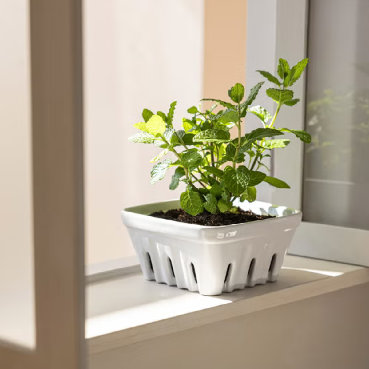 OVER & BACK - Ensemble de 3 Paniers Polyvalents en Grès - 3-Piece Multipurpose Stoneware Basket Set