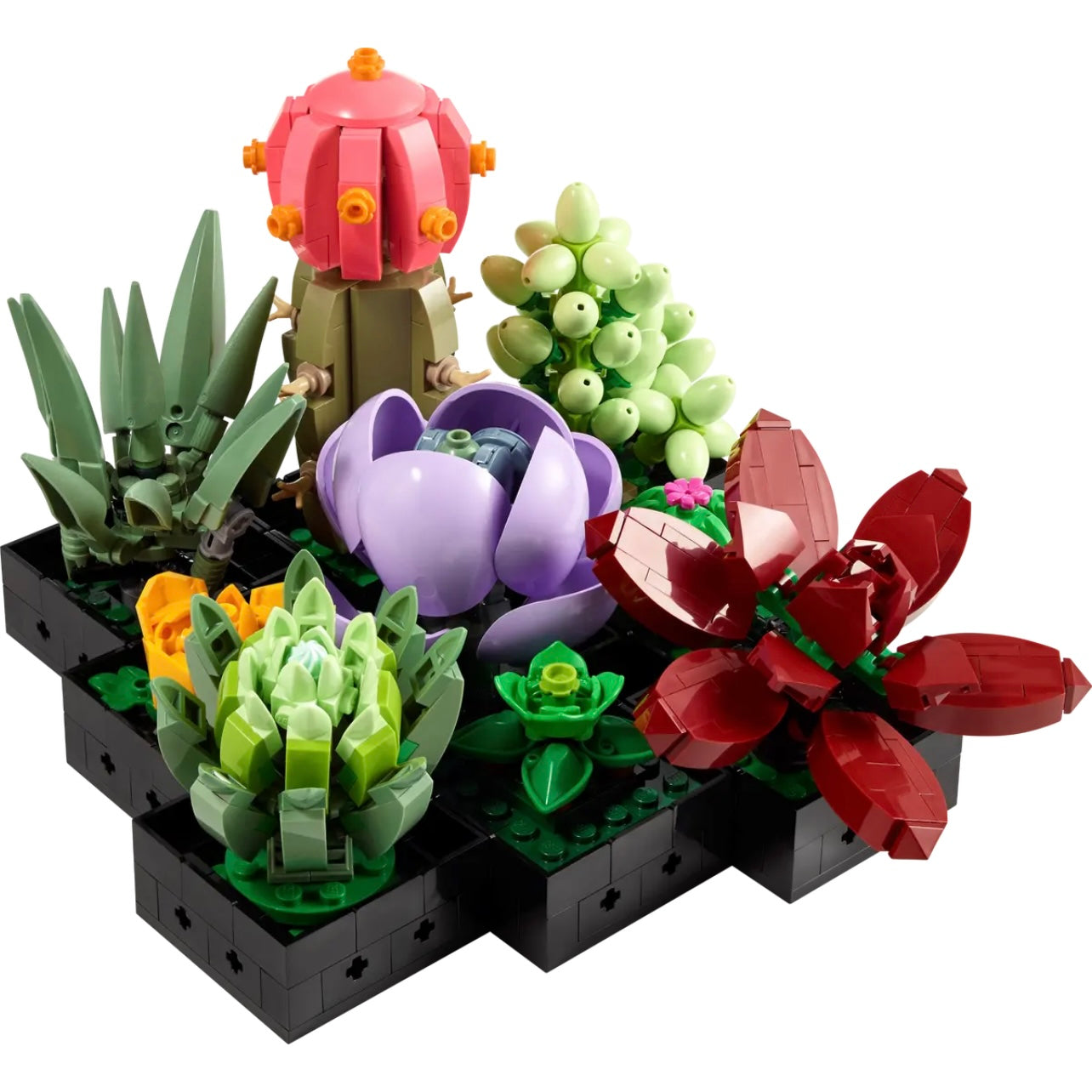 lego-les-succulentes-icons-10309-succulents-3