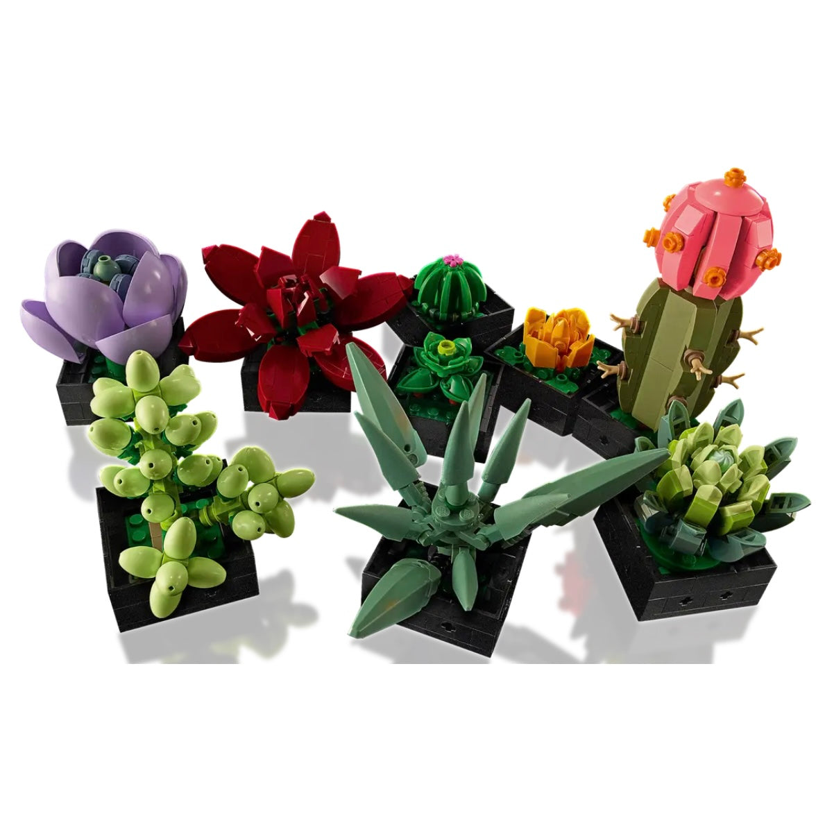 lego-les-succulentes-icons-10309-succulents-5