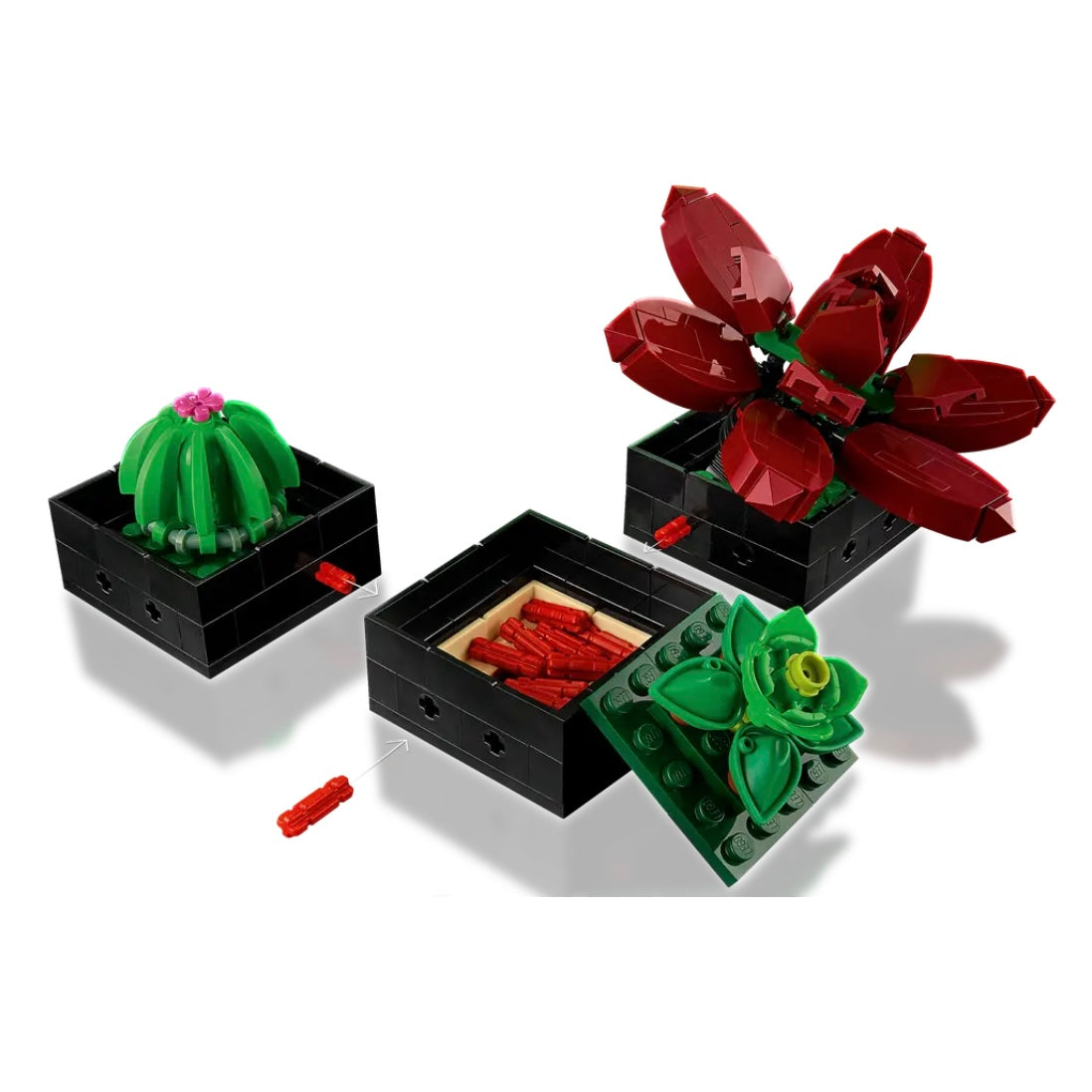 lego-les-succulentes-icons-10309-succulents-6