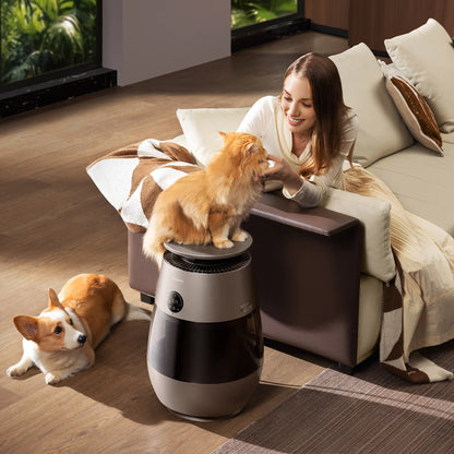 DREAME - Purificateur d'Air pour Animaux AP10 *Boite Ouverte*-pet-air-purifier-costco-1733455-8