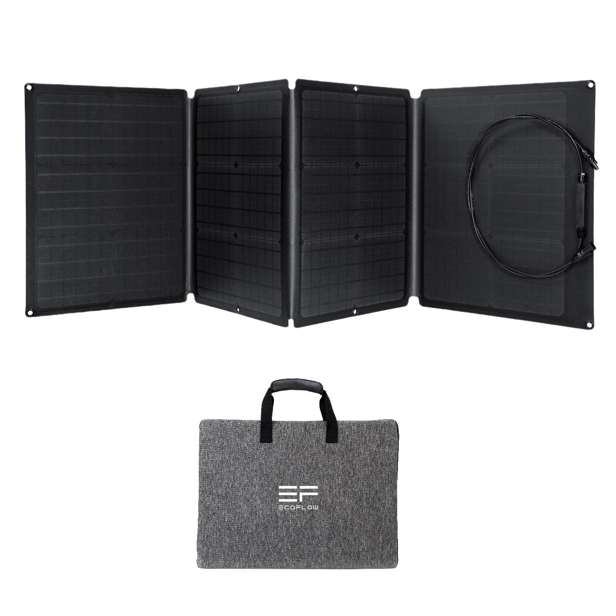 ECOFLOW - Panneaux Solaire 110W-solar-panel-black-costco-1665944-2