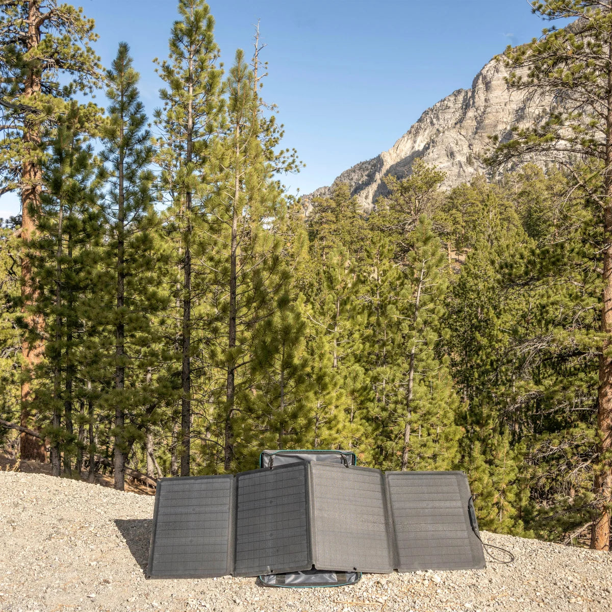 ECOFLOW - Panneaux Solaire 110W-solar-panel-black-costco-1665944-3