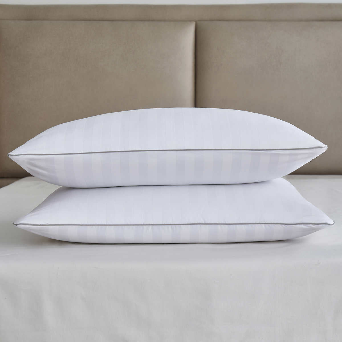 martha-stewart-ensemble-2-oreillers-plumes-duvet-feather-down-pillows-pack-4