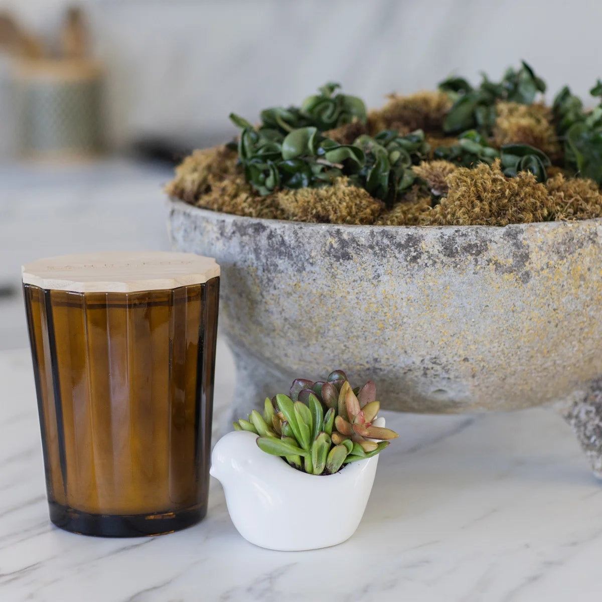 SAND + FOG - Bougie Parfumée en Mélange de Cire de Soja-scentend-soy-wax-blend-candle-costco-1901731-brun-brown-teak-tobacco-3