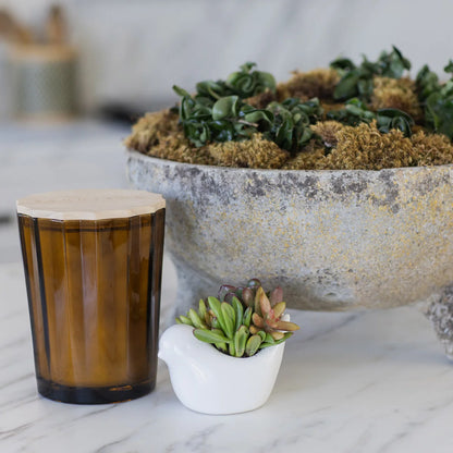 SAND + FOG - Bougie Parfumée en Mélange de Cire de Soja-scentend-soy-wax-blend-candle-costco-1901731-brun-brown-teak-tobacco-3