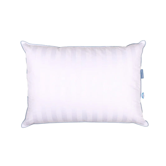 simmons-oreiller-premium-en-duvet-all-down-pillow