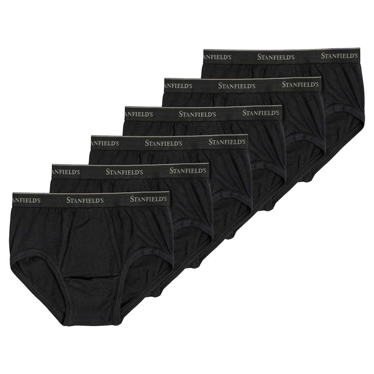 stanfield's-paquet-6-caleçons-classiques-classic-briefs-pack