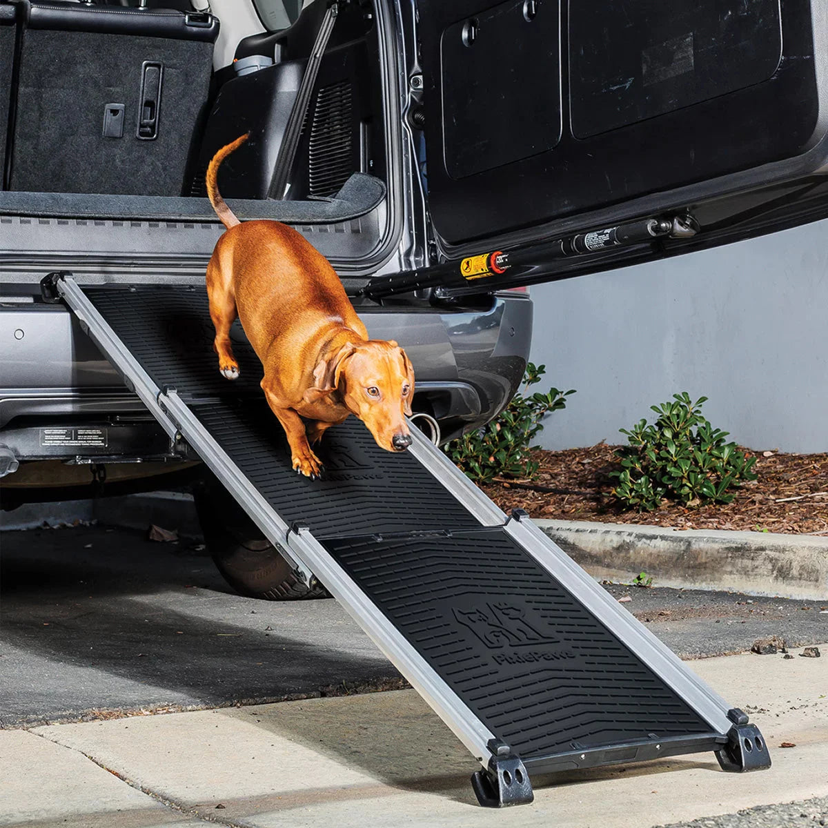 pixiepaws-rampe-télescopique-animaux-compagnie-telescopic-pet-ramp-6