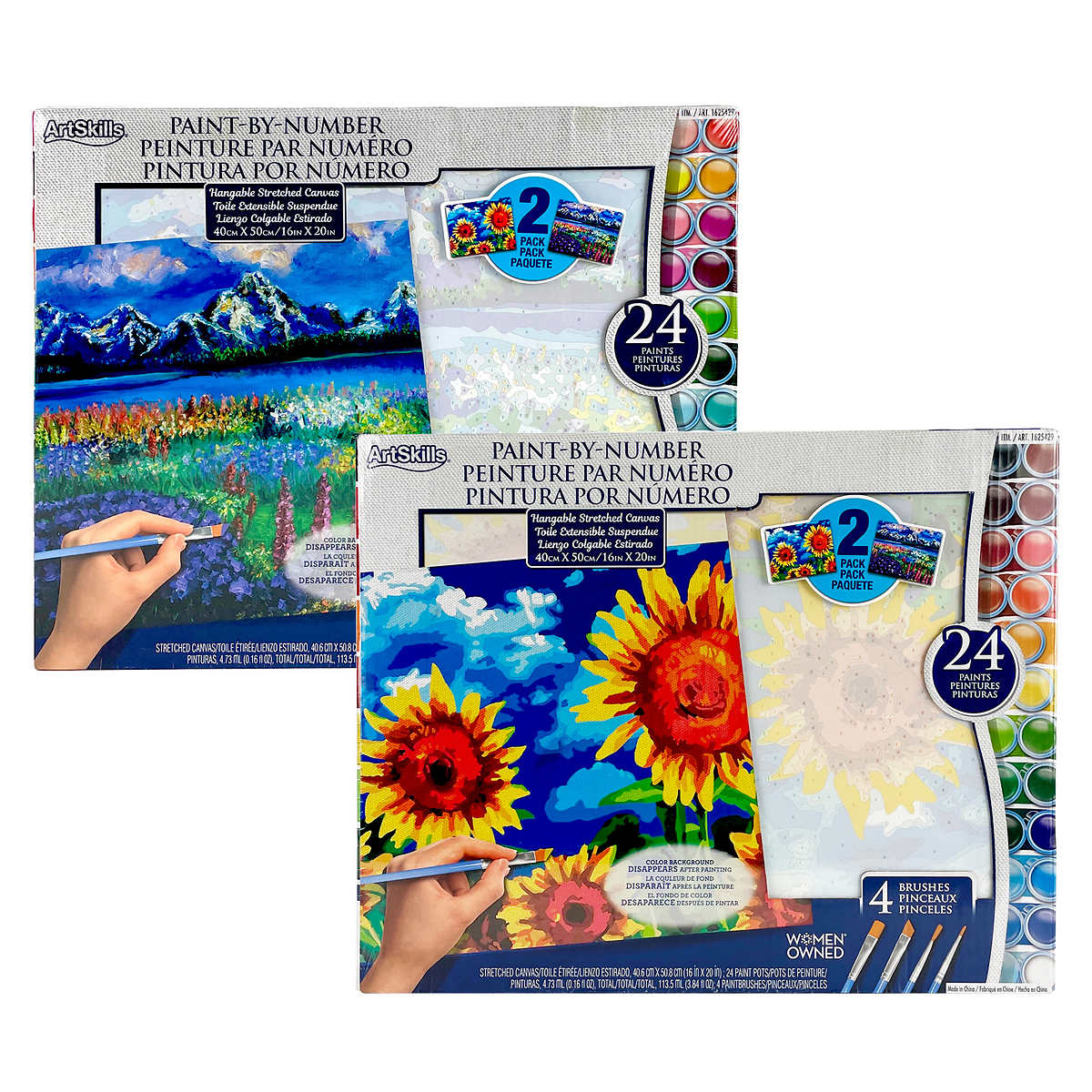 artskills-ensemble-2-peintures-par-numéro-paint-by-numbers-pack